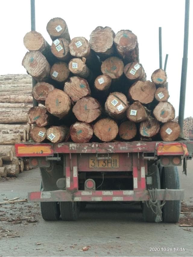 Sample photo: Logs (round timber)